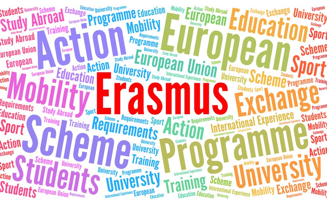 Erasmus dissemination